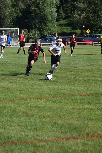 也为钟义浩 也为钟义浩