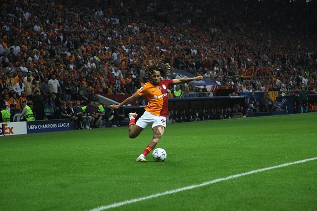 为中国最知 为中国最知