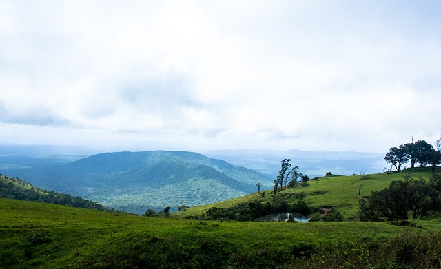 个人或家庭 个人或家庭