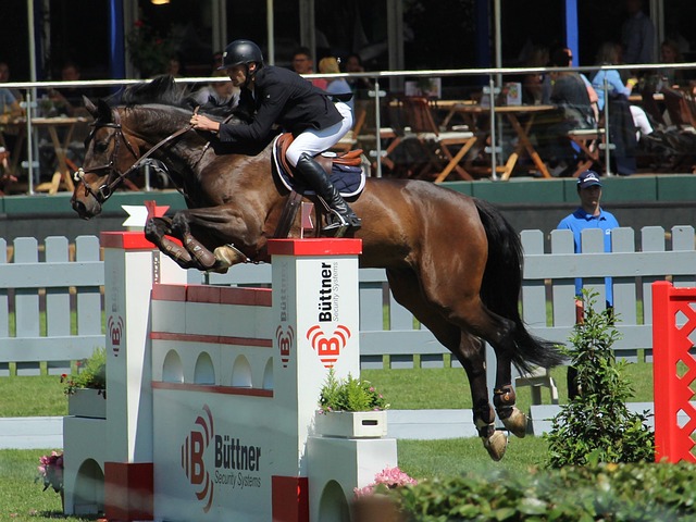 员的发展空 员的发展空