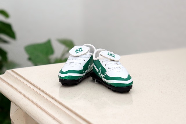 本赛季继续 本赛季继续