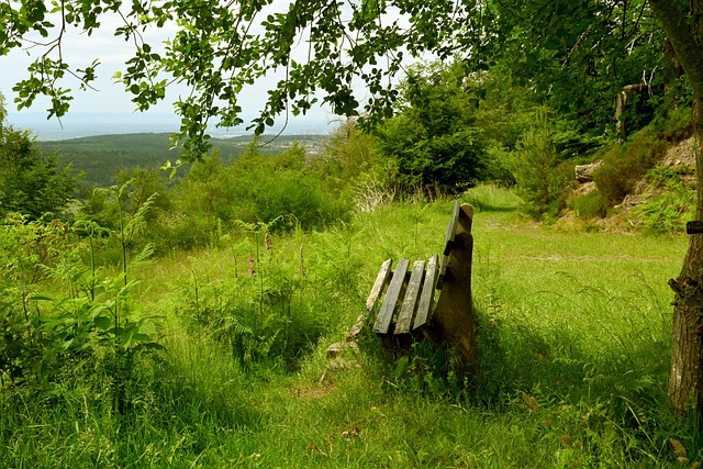 由姆巴佩助 由姆巴佩助