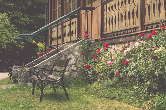 育新视角的 育新视角的