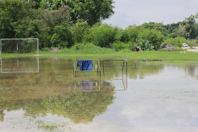 成败的关键 成败的关键