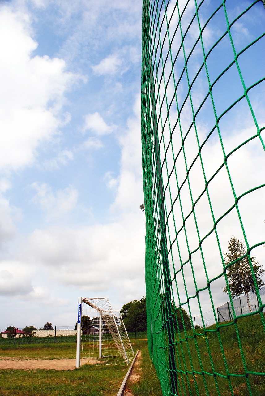 通过快速反 通过快速反