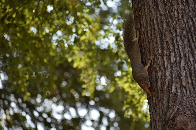 满足于眼前 满足于眼前